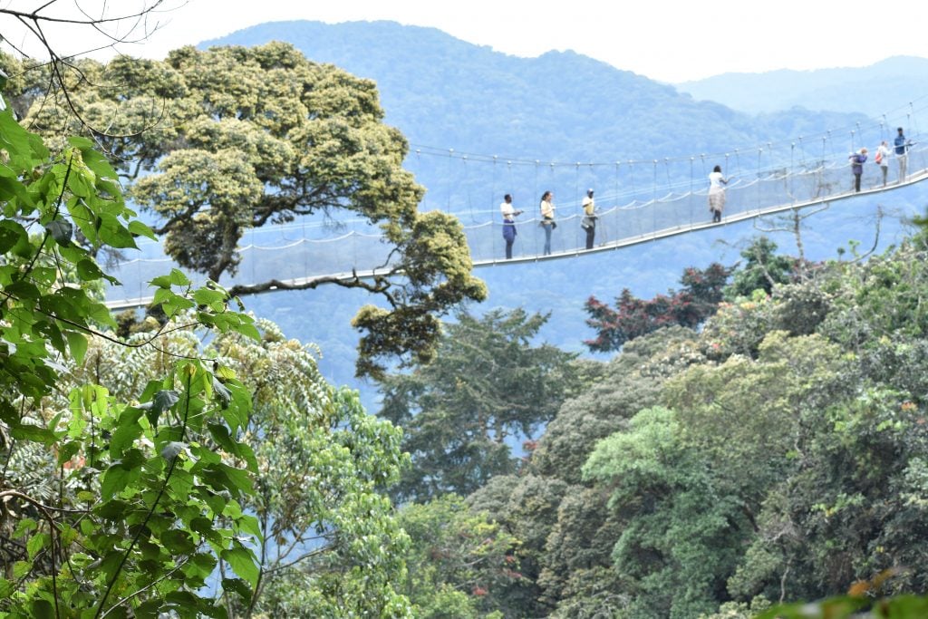  10 best places to visit in Rwanda-on-Rwanda safari tour